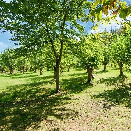 Belvilla By Oyo Fattoria 15 Holiday home Amandola