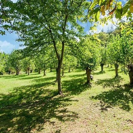 Large Group Retreat With Pool Prázdninový dům *